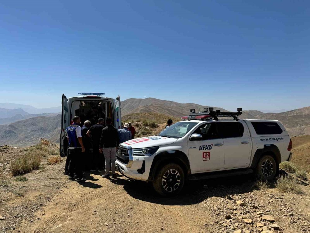 Hakkari’de ayının saldırısına uğrayan çoban ağır yaralandı