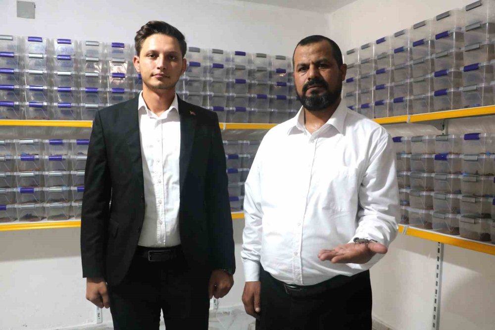 Urfalı girişimci genç ile Katarlı iş adamı Şanlıurfa’da akrep tesisi kurdu