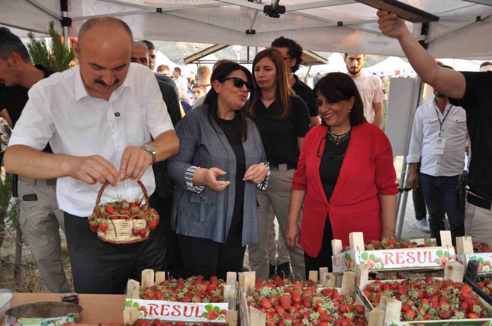 Mereto Dağı eteklerindeki Bal, Ceviz, Çilek ve Yayla Festivaline yoğun ilgi