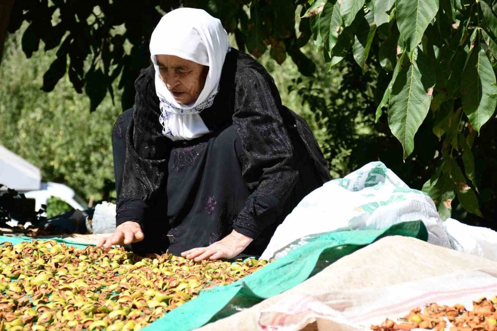 Şırnak'ta evlerin damları kışlıklarla doldu