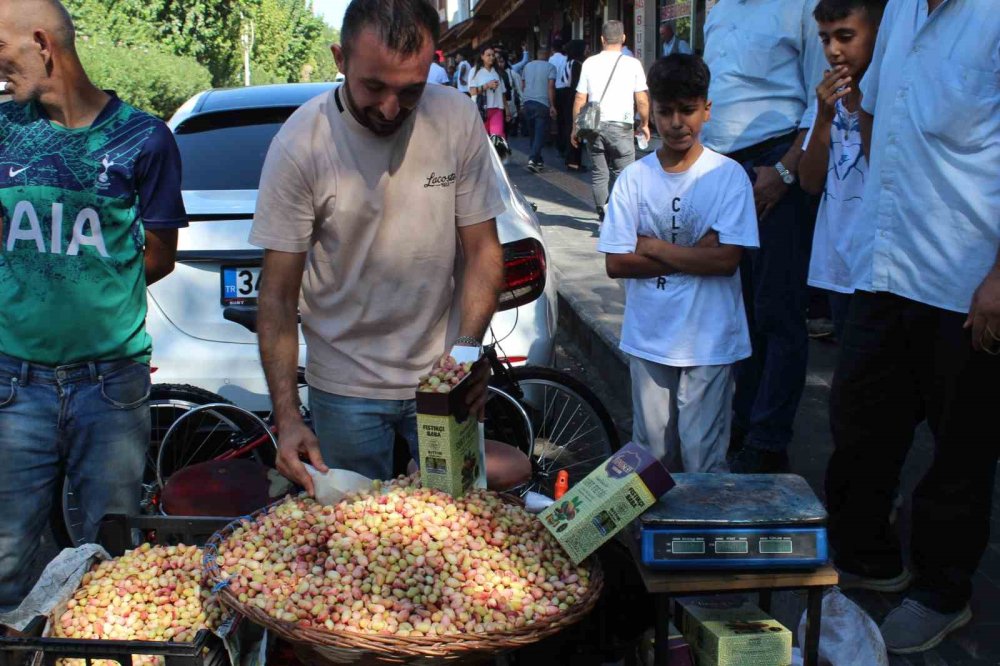 Siirt’in taze fıstık tezgahtaki yerini aldı