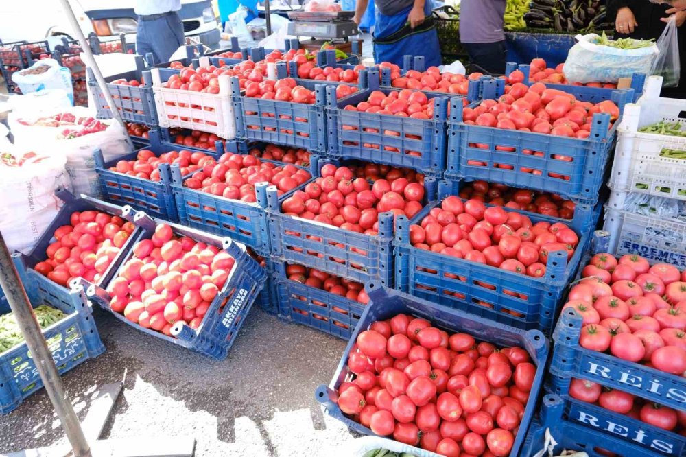 Erzincan’da salçalık domates ve biberler pazar tezgahlarında