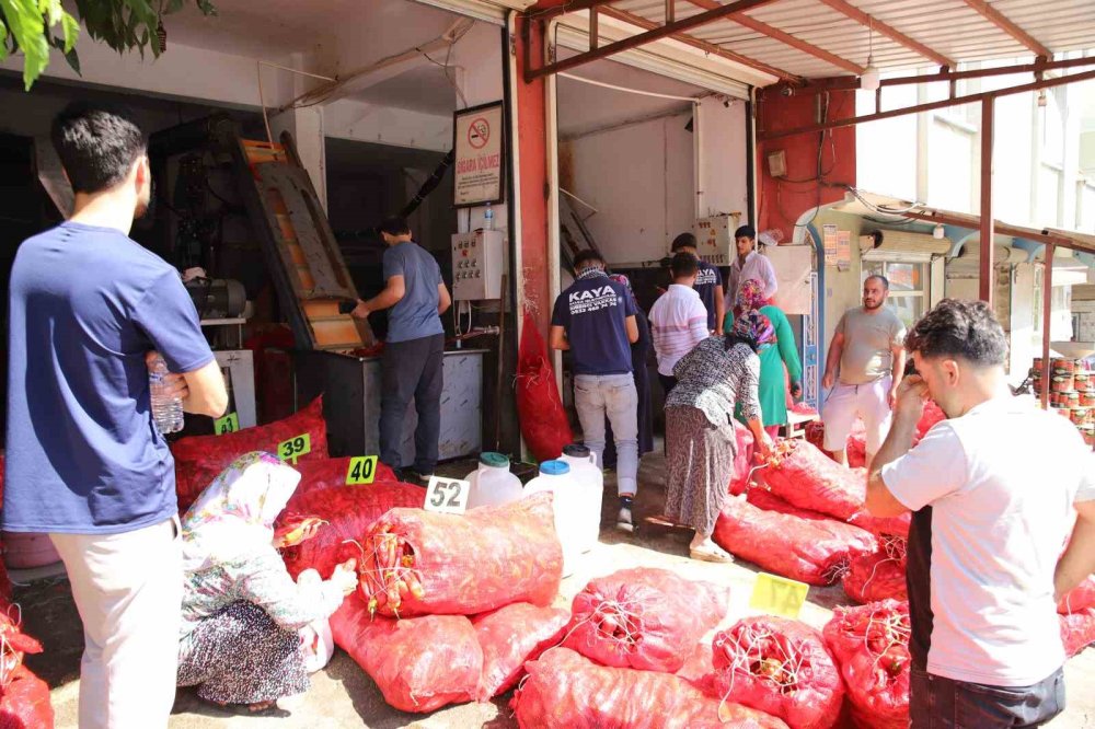 Antep’te salça mesaisi başladı