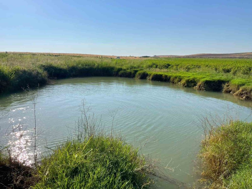 Harran Ovası’nda oluşan büyük obruklar çiftçileri korkutuyor