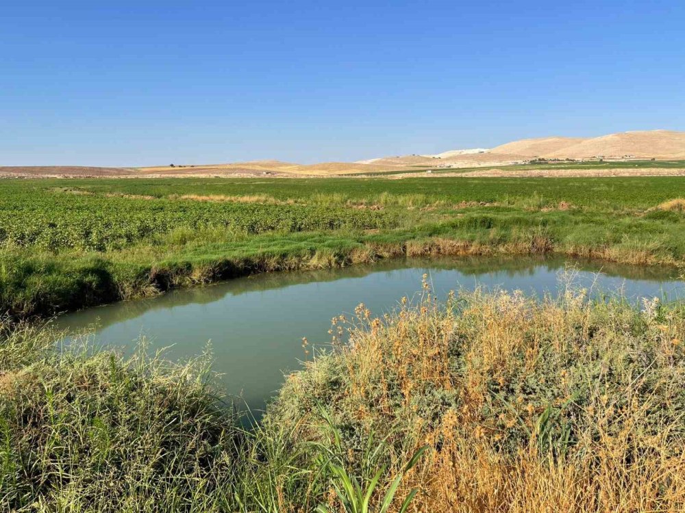 Harran Ovası’nda oluşan büyük obruklar çiftçileri korkutuyor