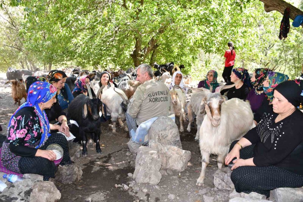 Berivanlar son mesailerini yaşıyor