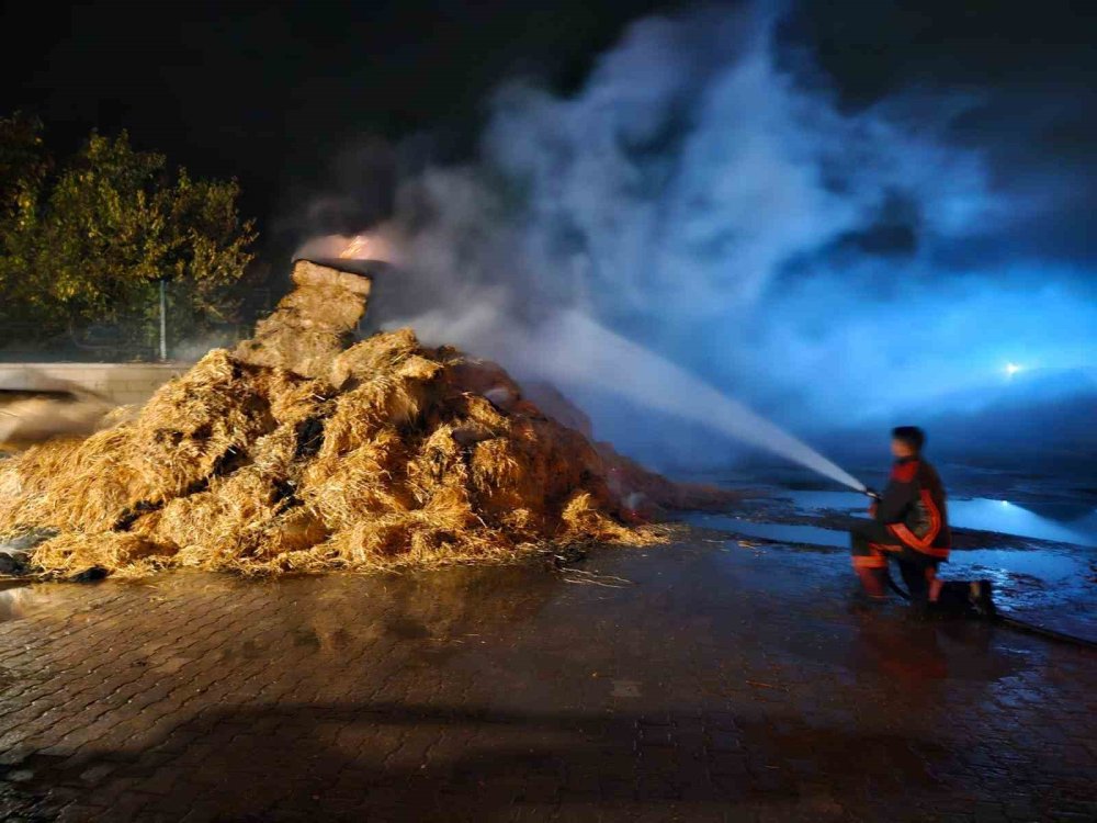 Malatya’daki samanlıkta yangın çıktı