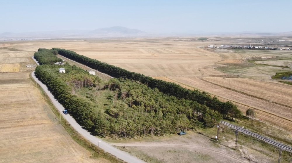 Kars'ta bozkırın ortasındaki vahada eylül güzelliği