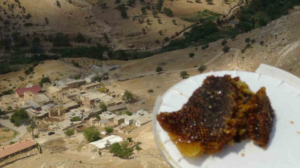 Yalçın öğretmen, 300 metre yükseklikteki kayalardan topladığı balı hastalara veriyor