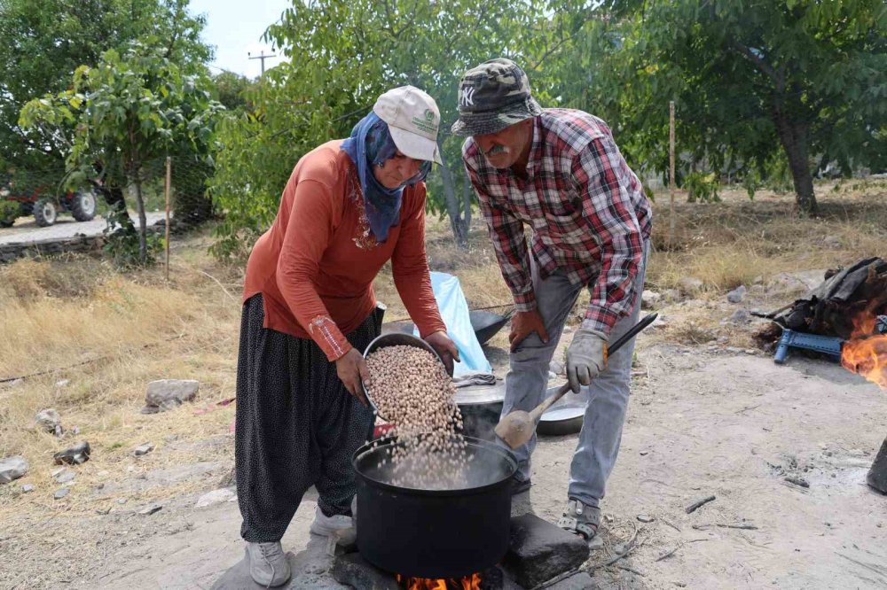 Elazığ'da nohudun kum ve ateşle dansı