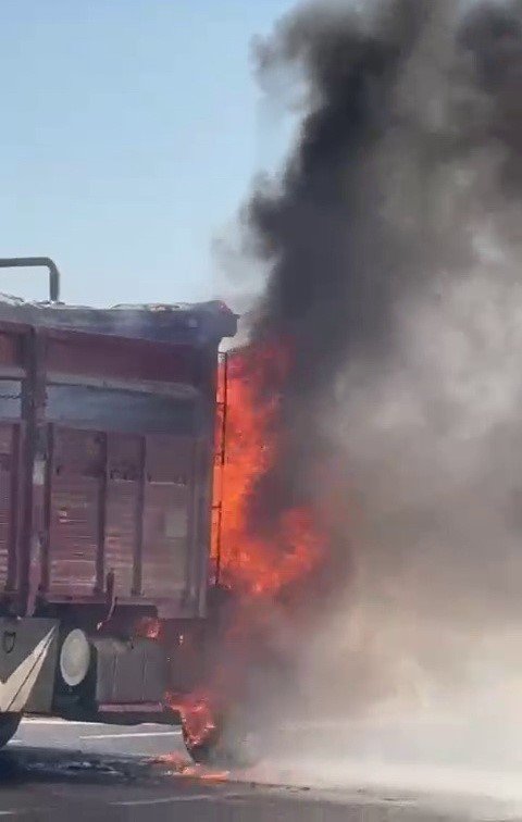 Adıyaman'da, seyir halindeki bir kamyon alev alarak yandı