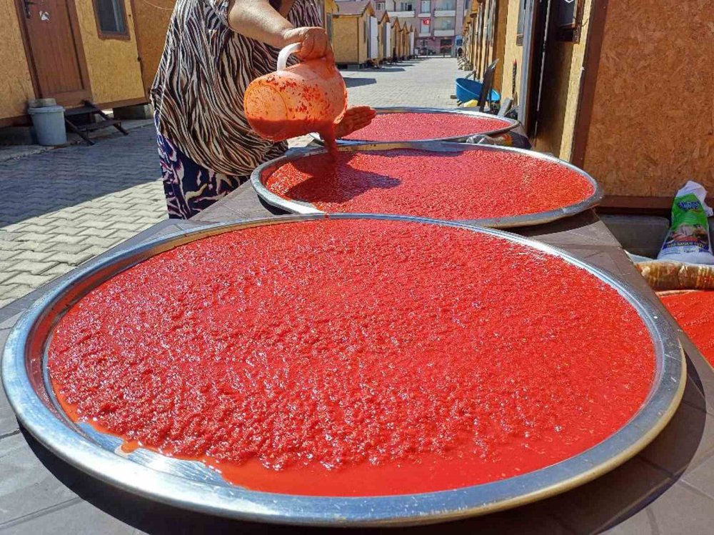 Depremzede kadınların kurutmalık ve salça mesaisi başladı