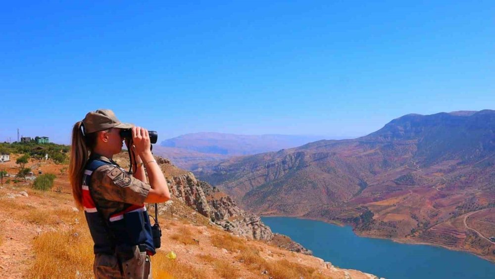 Fıstık hırsızlığına karşı jandarmadan dronlarla koruma