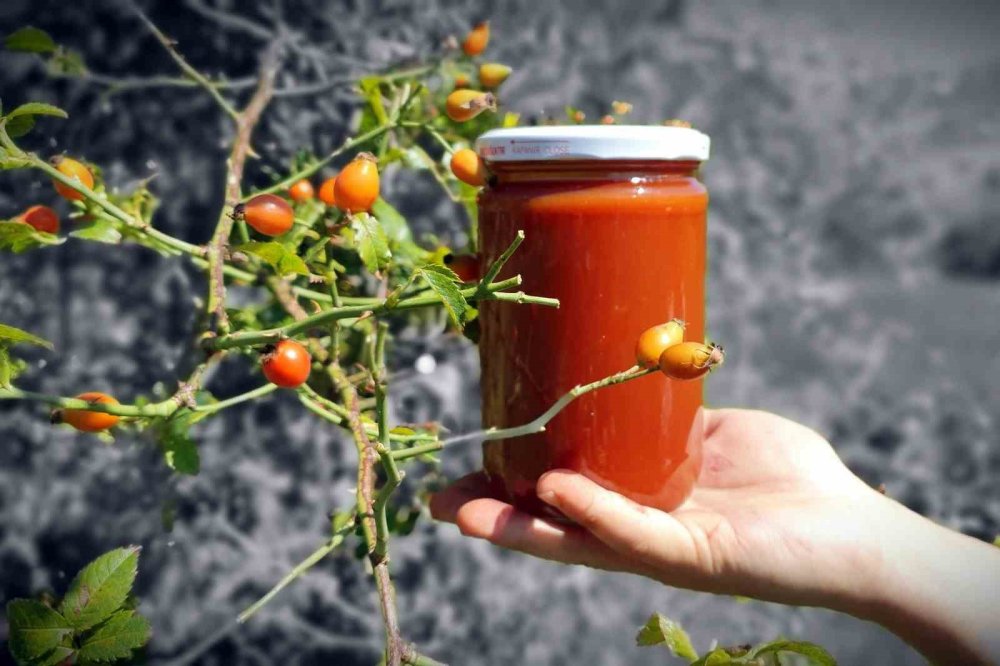 Zorlu arazilerde toplanan kuşburnundan marmelat yapılıyor