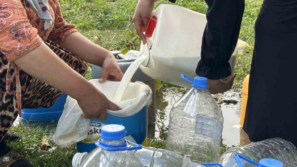 Yüksekova’da kışlık süt mesaisi başladı