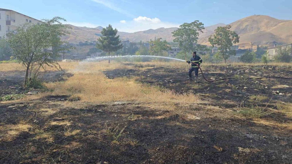 Hakkari Dağgöl Mahallesi'de anız yangını