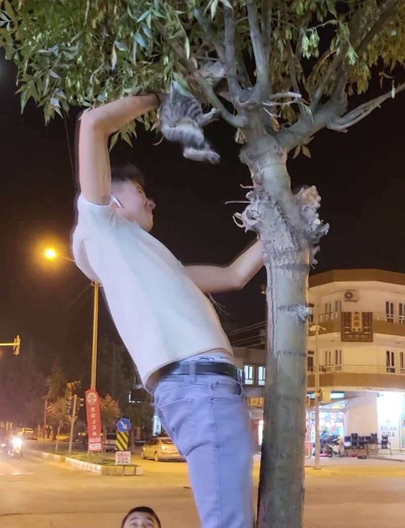 Adıyaman'da iki çocuk yavru kediyi kurtarmak için seferber oldu