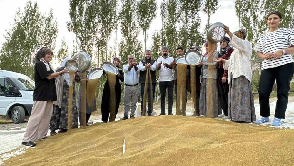 Kadın çiftçilerden yonca tohumu eleme ve ayıklama mesaisi