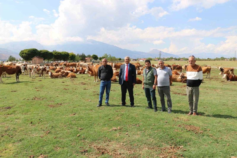 Erzincan'da Mera Islah Projeleri incelendi