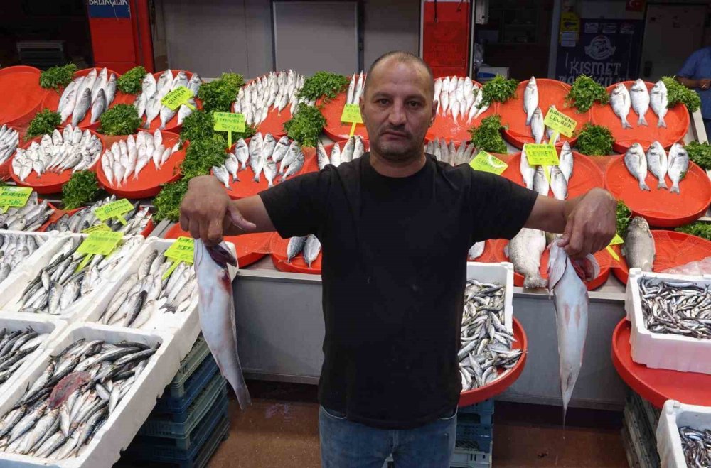 Havaların serinlemesiyle balık satışları arttı