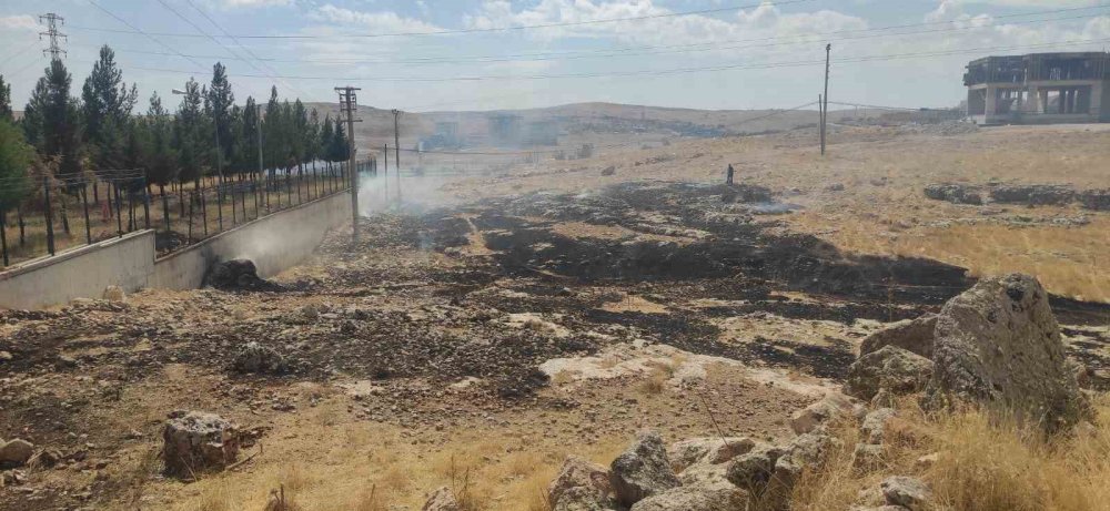 Mardin’de ot yangını çıktı