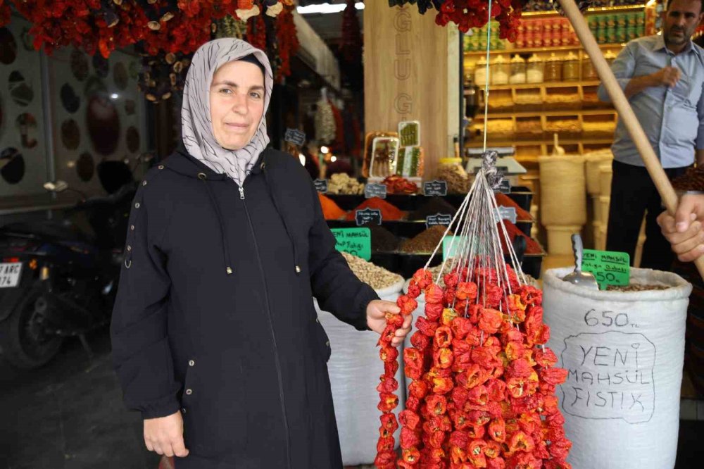 Gaziantep'te patlıcan, kabak ve biber kurutmalıkları görsel şölen sunuyor