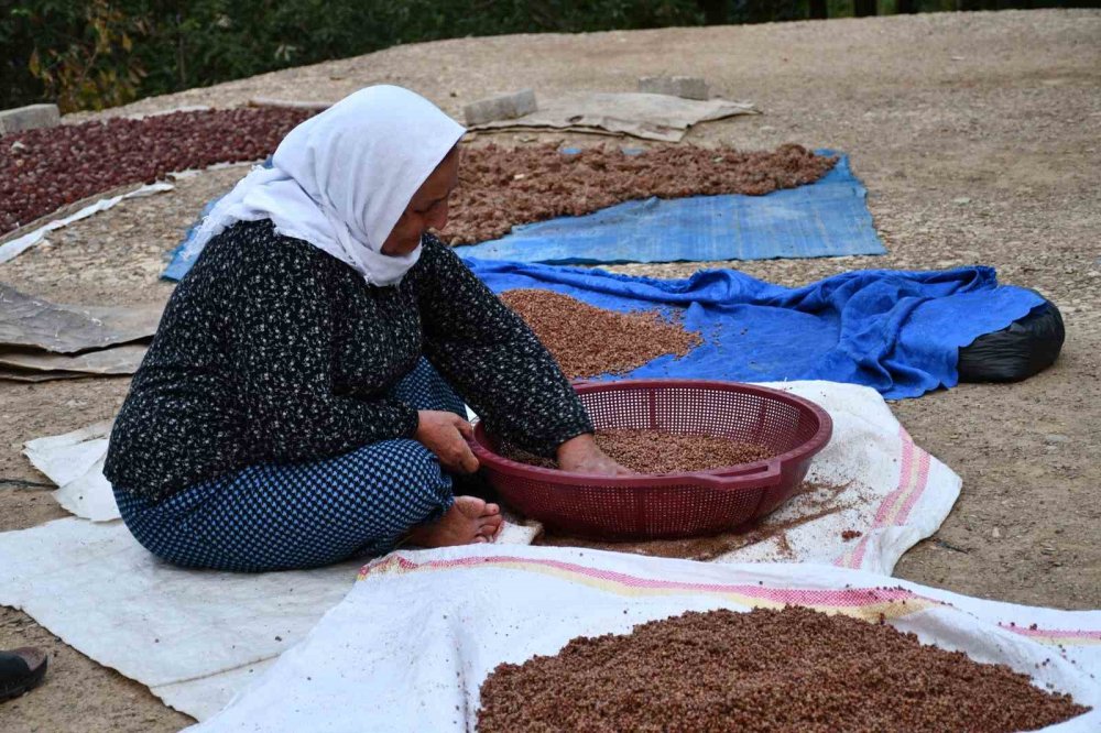 Şırnak'ta bu aile sumak satarak geçimini sağlıyor