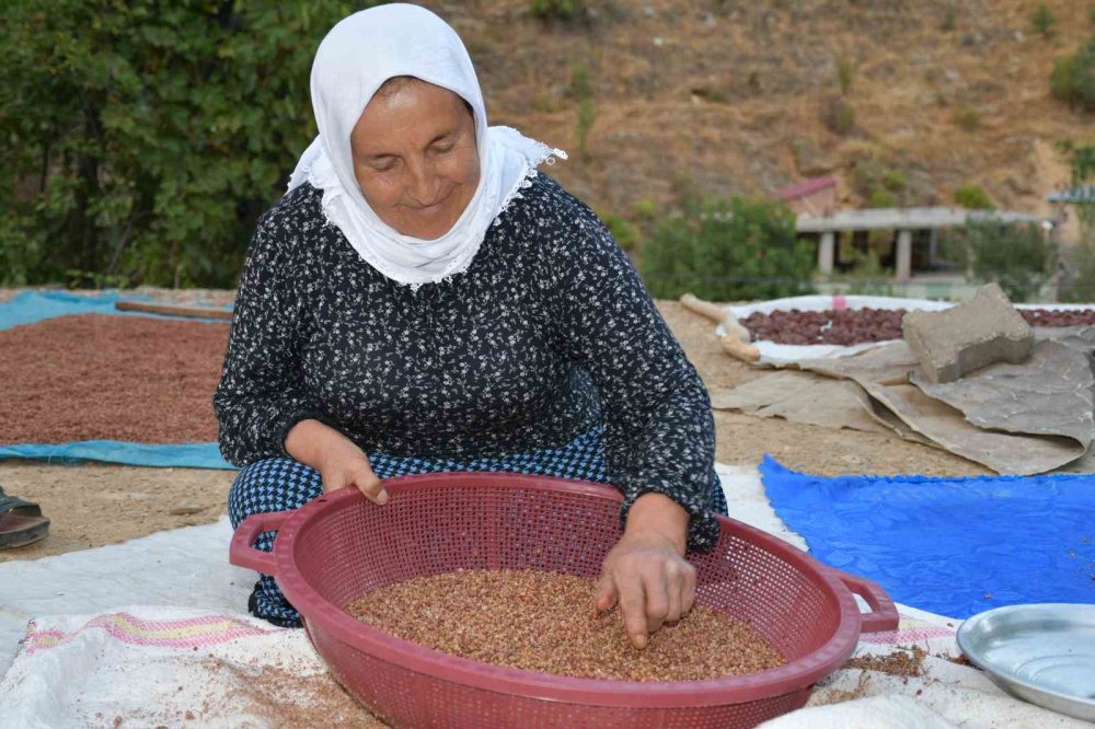 Şırnak'ta bu aile sumak satarak geçimini sağlıyor