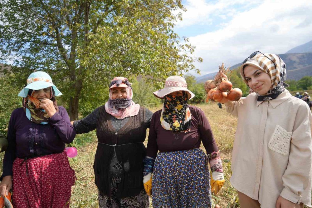 Erzincan'da İşçi kadınlar önce hasat ettiler sonra halay çektiler