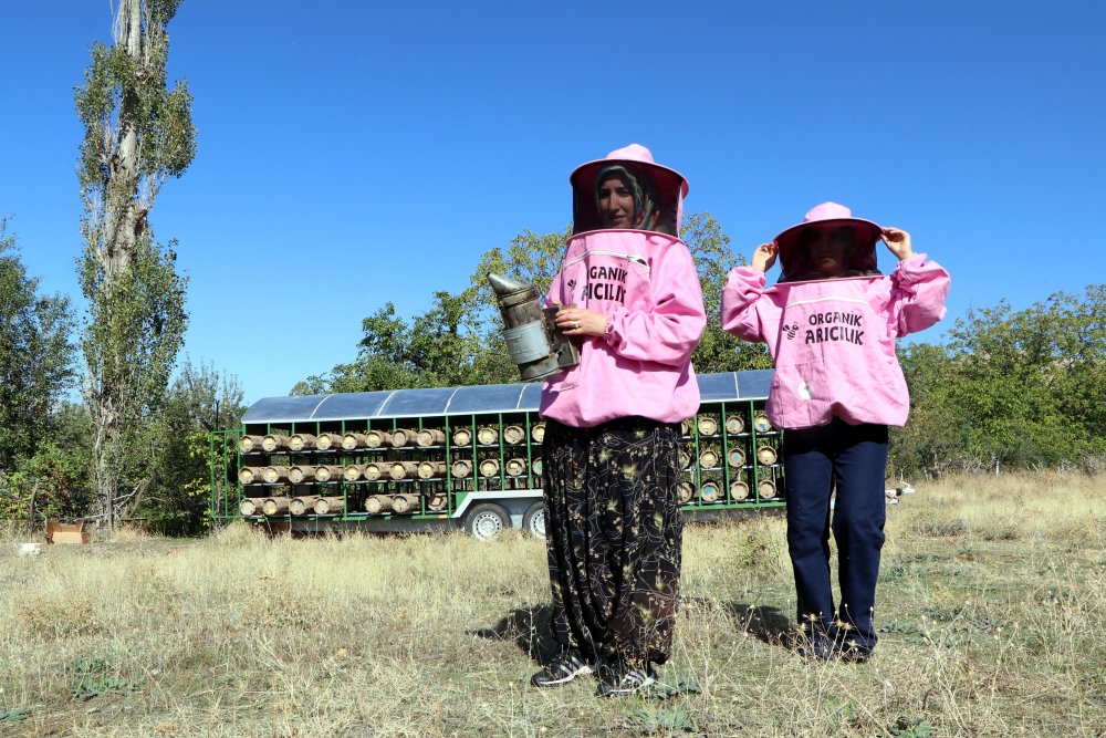 Van'da 'Pembe maskeli kadınlar' bal hasadına başladı