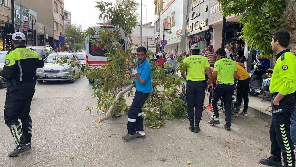 Adıyaman’da seyir halindeki bisikletin üzerine ağaç dalı düştü