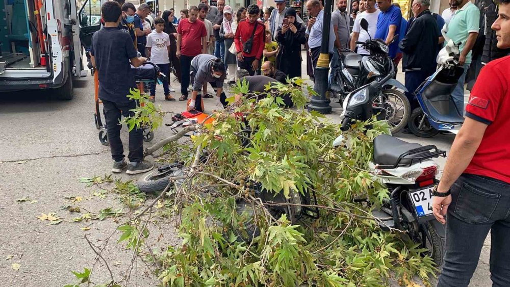 Adıyaman’da seyir halindeki bisikletin üzerine ağaç dalı düştü