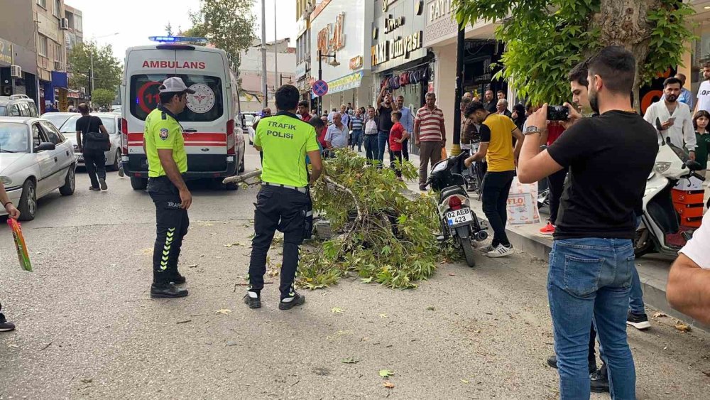 Adıyaman’da seyir halindeki bisikletin üzerine ağaç dalı düştü