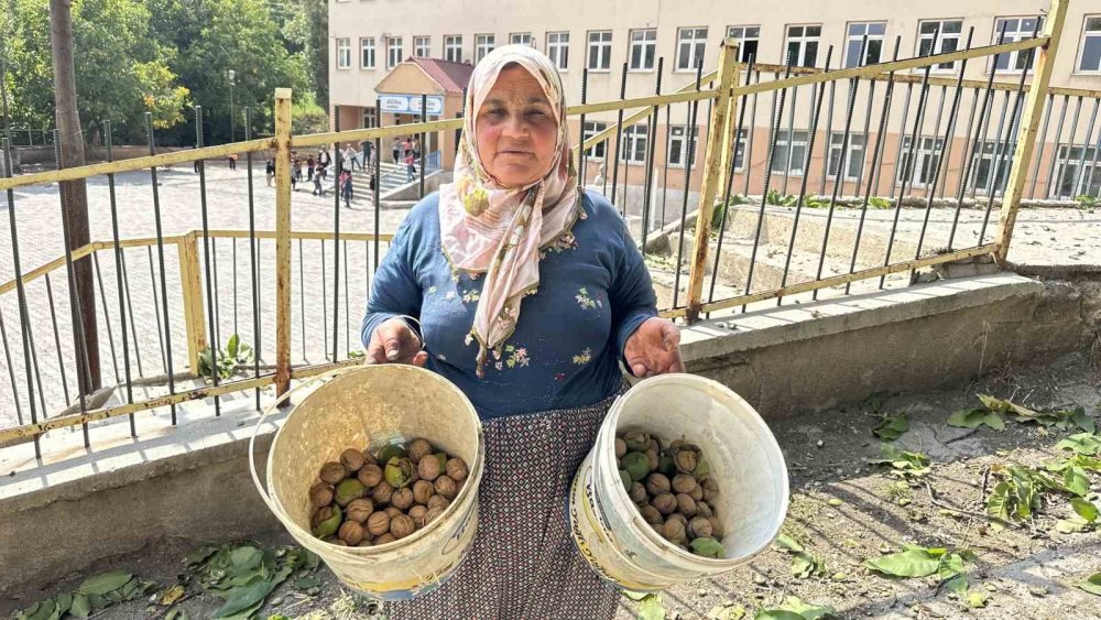 Okul yolunda öğrencilere ceviz ikramı