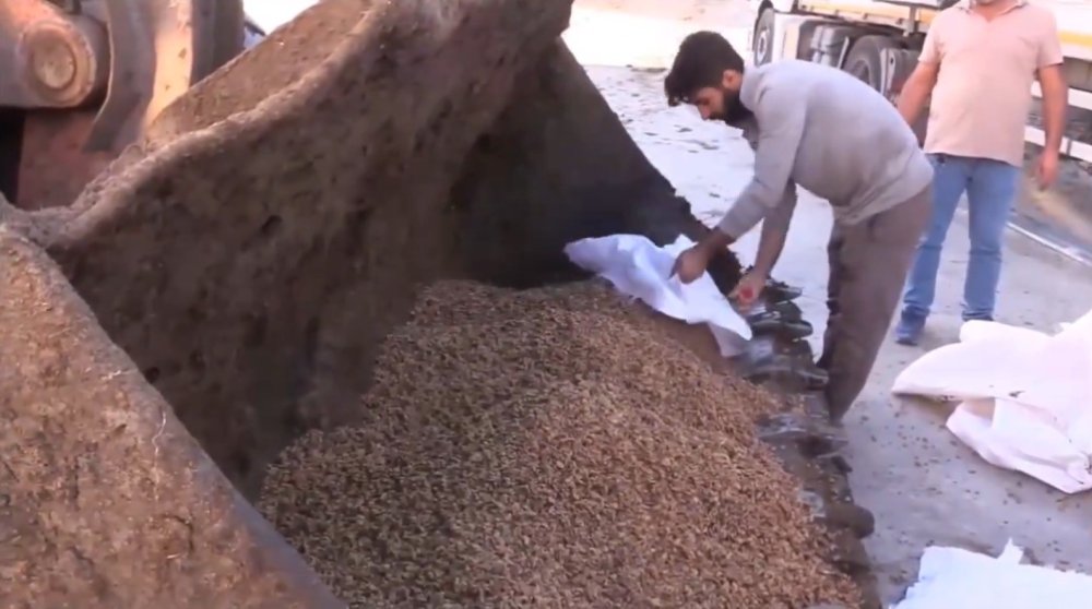 Akçakale sınır kapısında 79 ton bozuk ceviz içi ele geçirildi