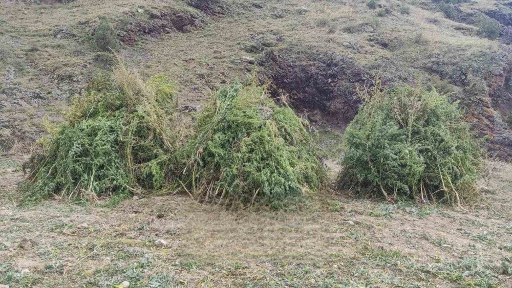 Erzurum'da jandarma’dan uyuşturucu operasyonu