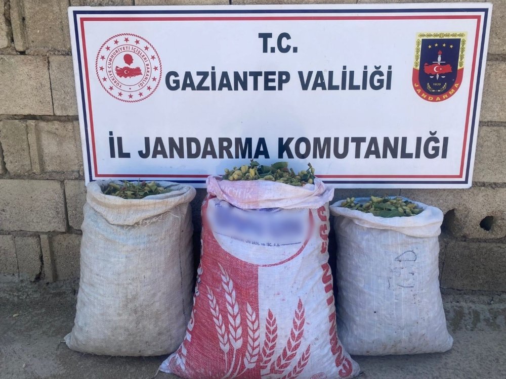 Gaziantep’te faili meçhul hırsızlık şüphelisi 73 kişi yakalandı