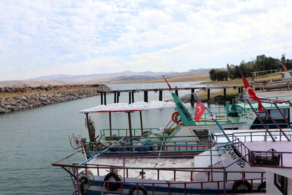 Van Gölü kıyıları yavru balıklarla dolup taştı