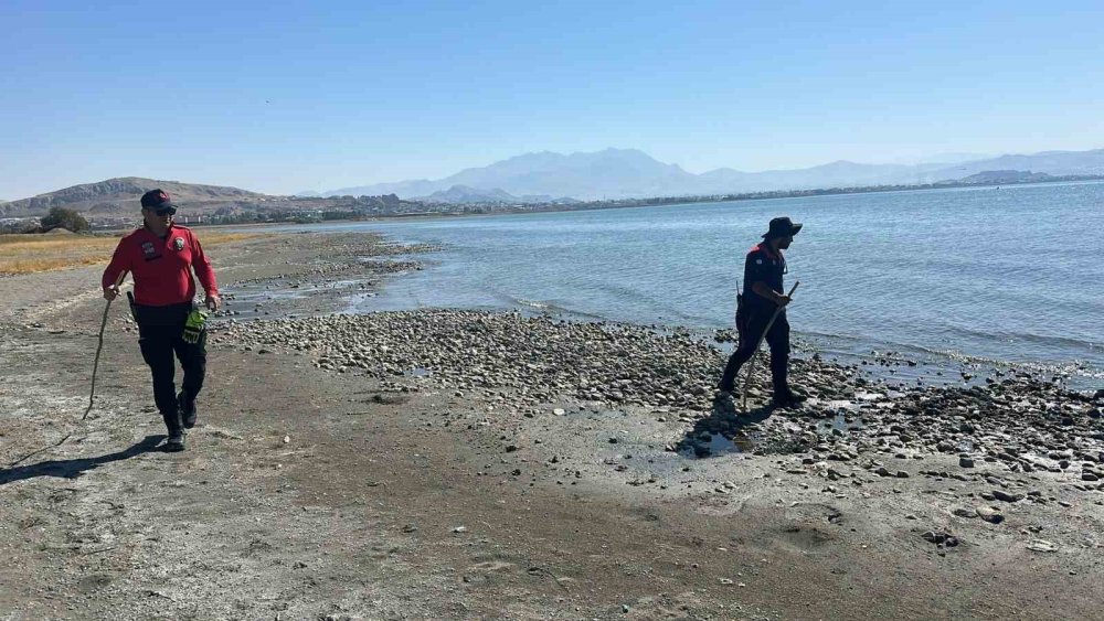 Van’da kaybolan Rojin için aramalar metruk yerlerde devam ediyor