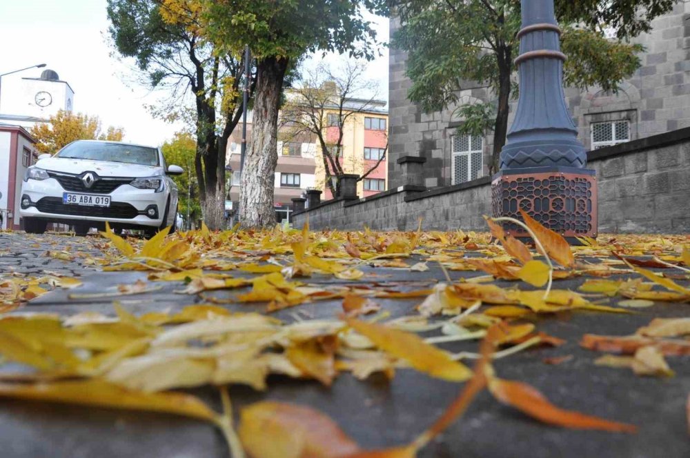 Kars’ta işçilerin yaprak temizleme mesaisi başladı