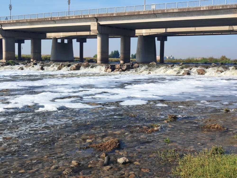 Dicle Nehri'ndeki ‘Beyaz köpük’ için inceleme başlatıldı