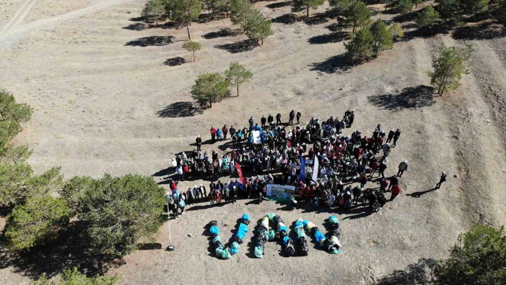 Van’da gençler ormanda temizlik yaptı