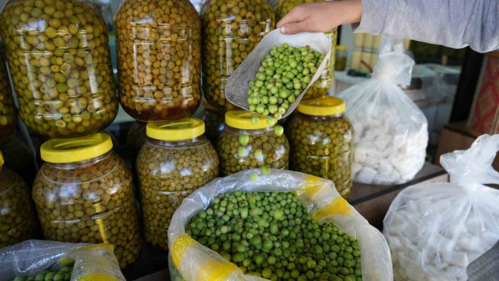 Antep’te yeşil zeytinler tezgaha indi