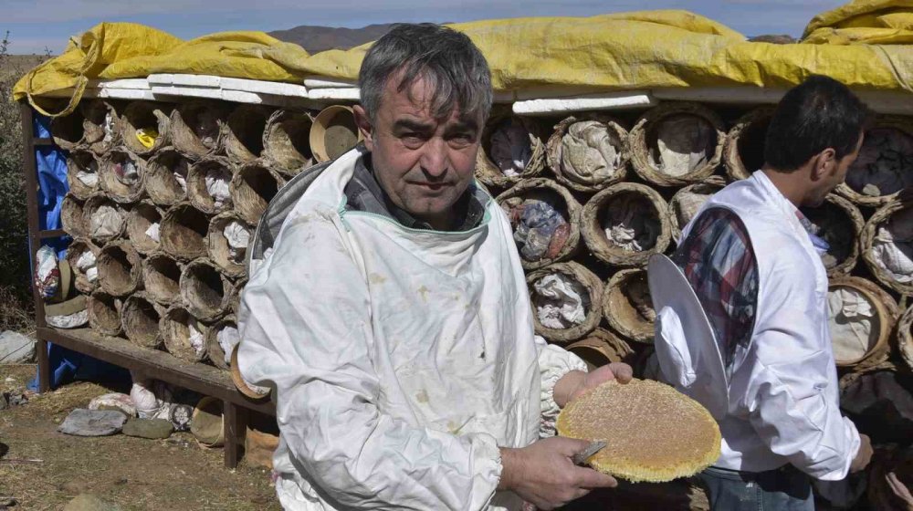 Bitlis’te dünyaca ünlü karakovan balının hasadı sürüyor