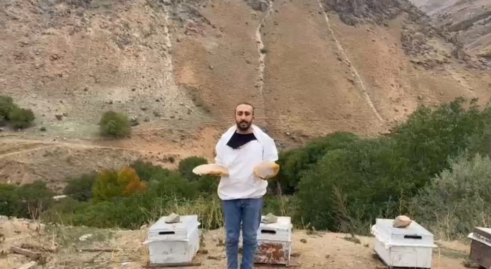 Hakkari'de dağ bayır dolaşarak kaya balı arıyor