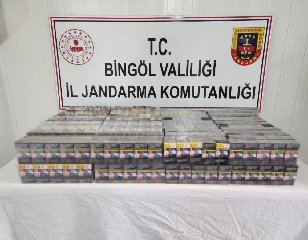 Bingöl’de kaçak kazı yapan 2 şahıs yakalandı