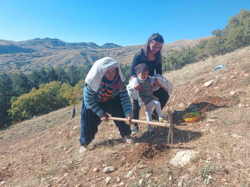 Dersim’de bin meşe palamudu toprakla buluşturuldu