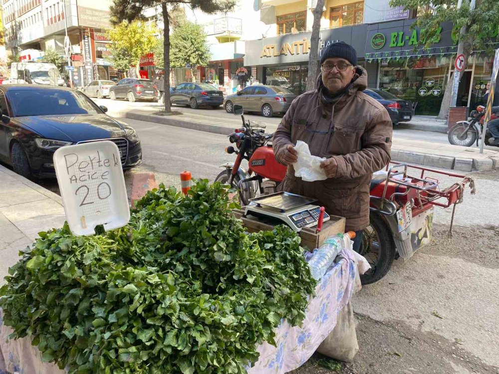 70 yaşındaki Mustafa dedenin hayat mücadelesi