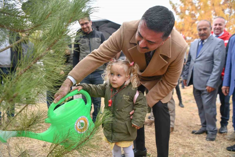 Dersim’de 35 bin fidan toprakla buluşturuldu