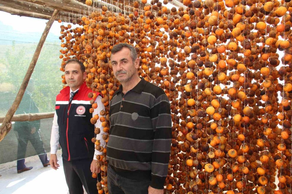 Şırnak'ta denemek için bahçesine cennet hurması ekti, geçimini bununla sağlamaya başladı